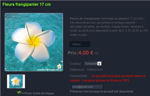 Fiche produit Prestashop personnalisée