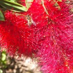 DSCF0059