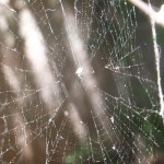 DSCF0165