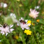 DSCF0218