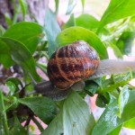 DSCF0315