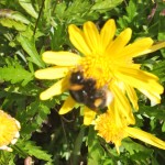 DSCF4460